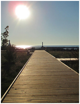 Beach walk